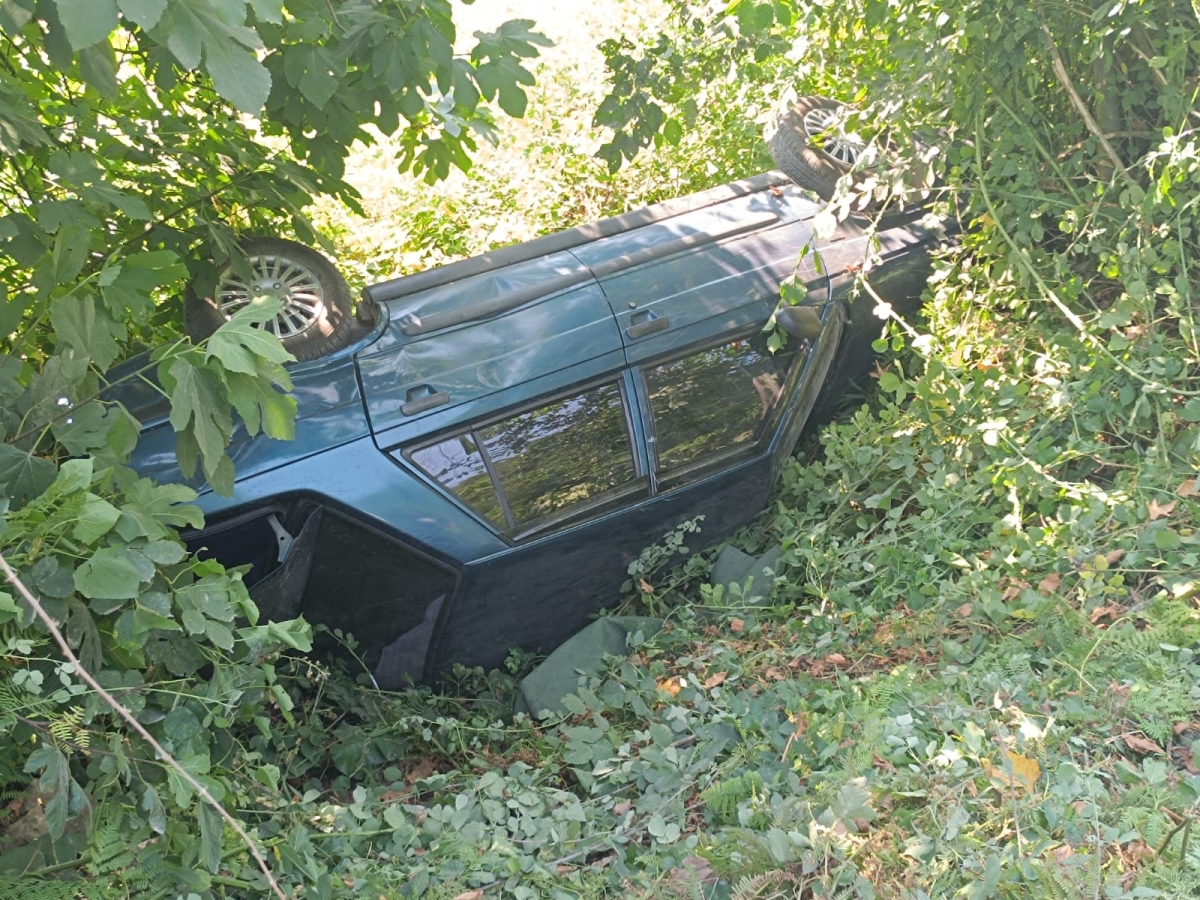Ağaçlık alana devrilen otomobilin sürücüsü yaralandı