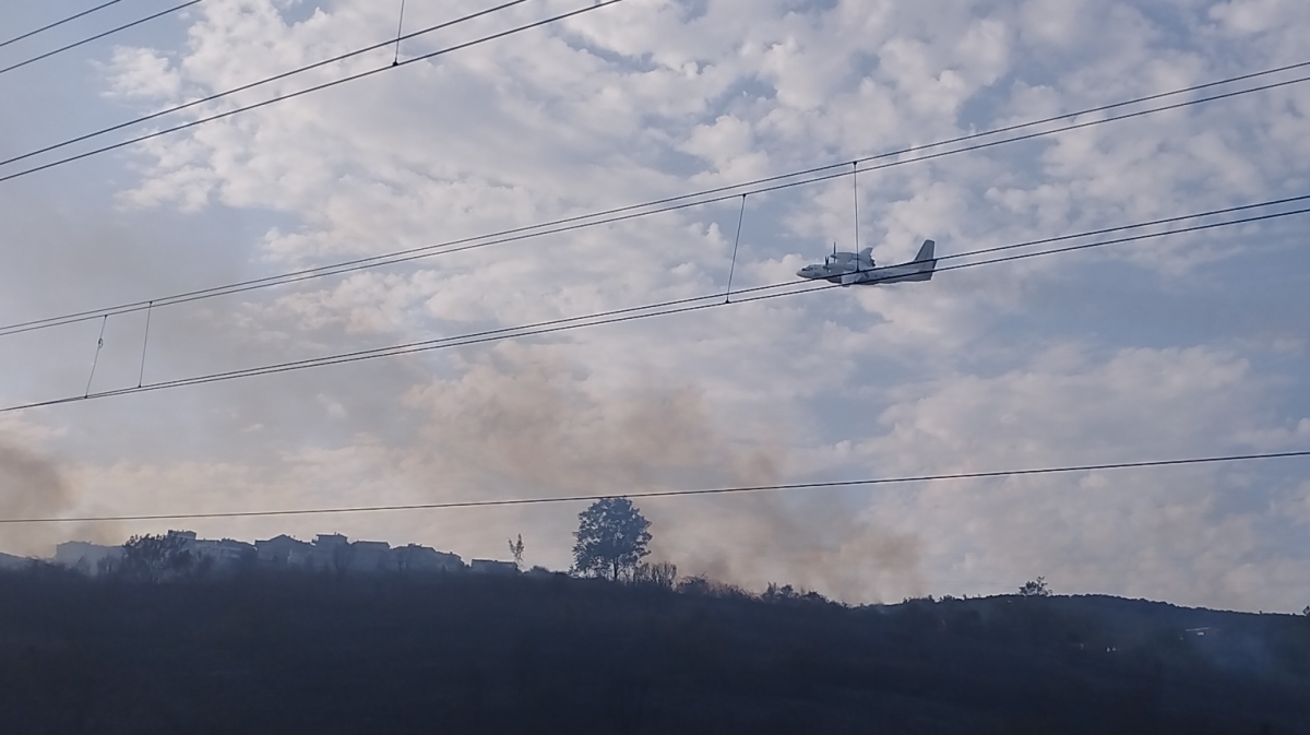 Kocaeli'de orman yangınına müdahale ediliyor