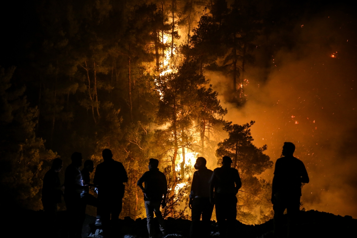  Bilecik'te çıkan orman yangınına müdahale sürüyor
