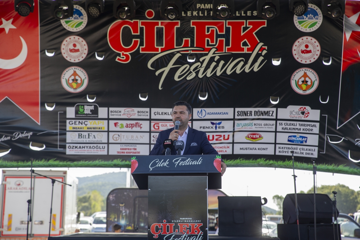 Sakarya'da Çilek Festivali düzenlendi