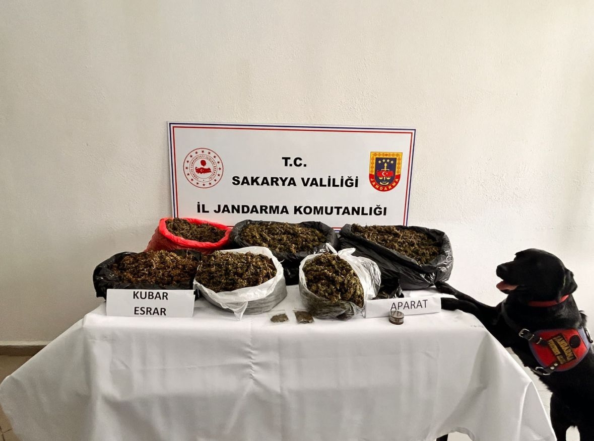 Sakarya'da uyuşturucu operasyonunda 1 kişi tutuklandı