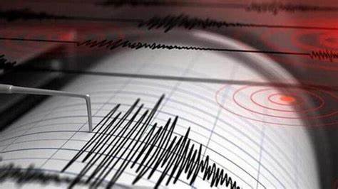 Marmara Denizi'ndeki son sarsıntılar olası İstanbul depreminin habercisi mi?