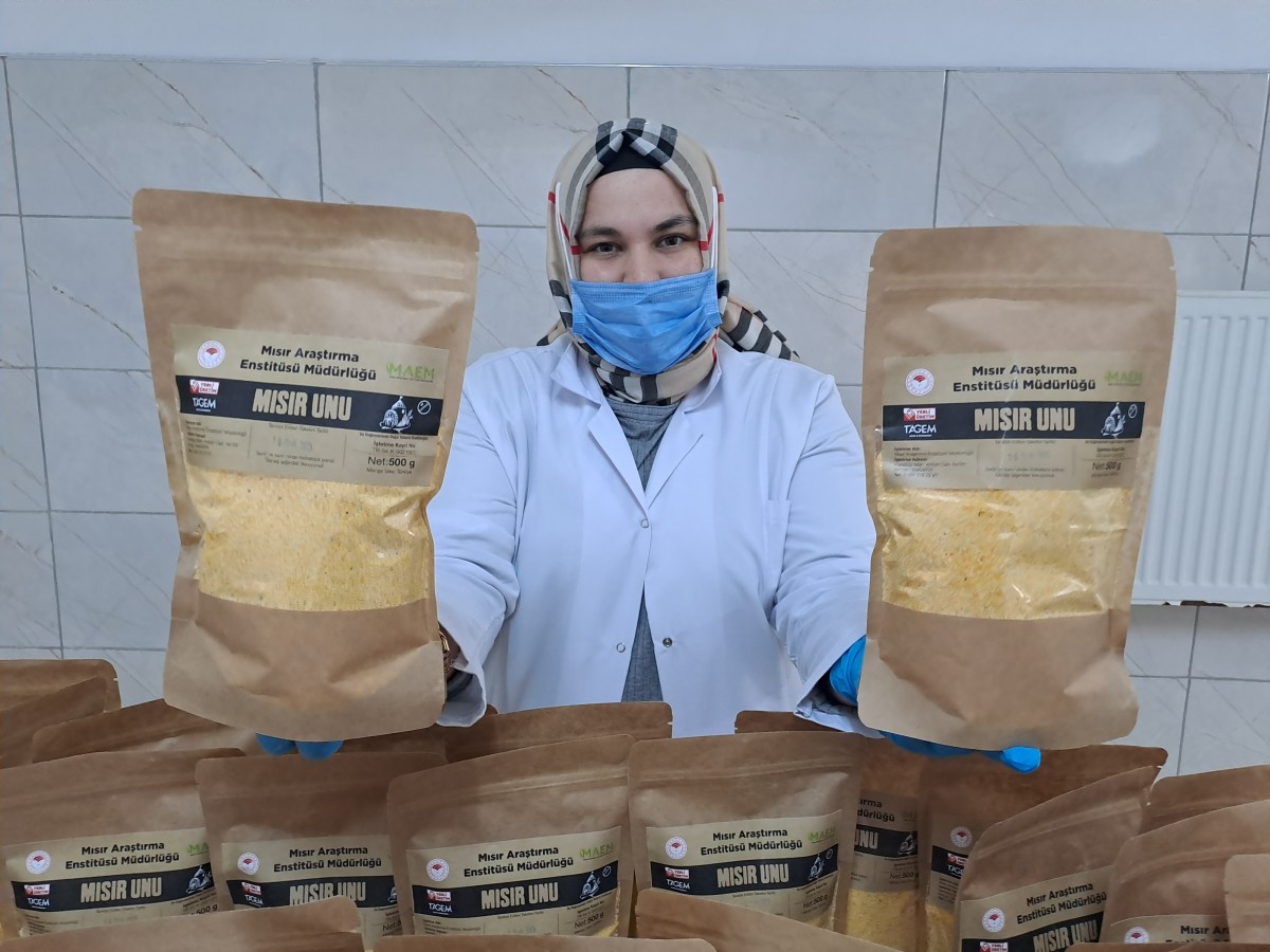 Sakarya'da enstitü bünyesinde üretilen mısır ununa talep imalatı artırma kararı aldırdı