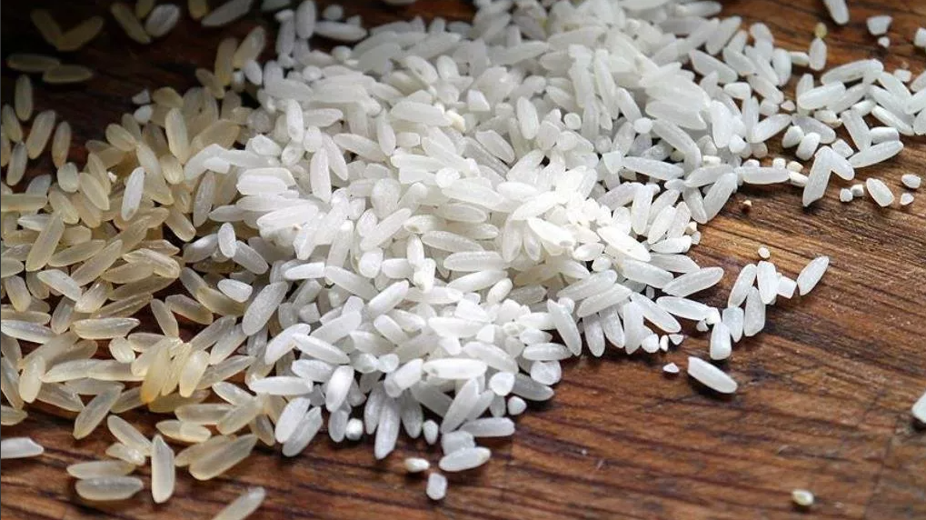 Yapay etli pirinç ürettiler