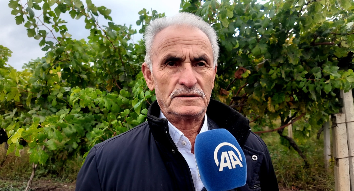 Sakarya'da üzüm üreticileri, hırsızlığa karşı jandarma ekipleriyle bahçede nöbet tutuyor