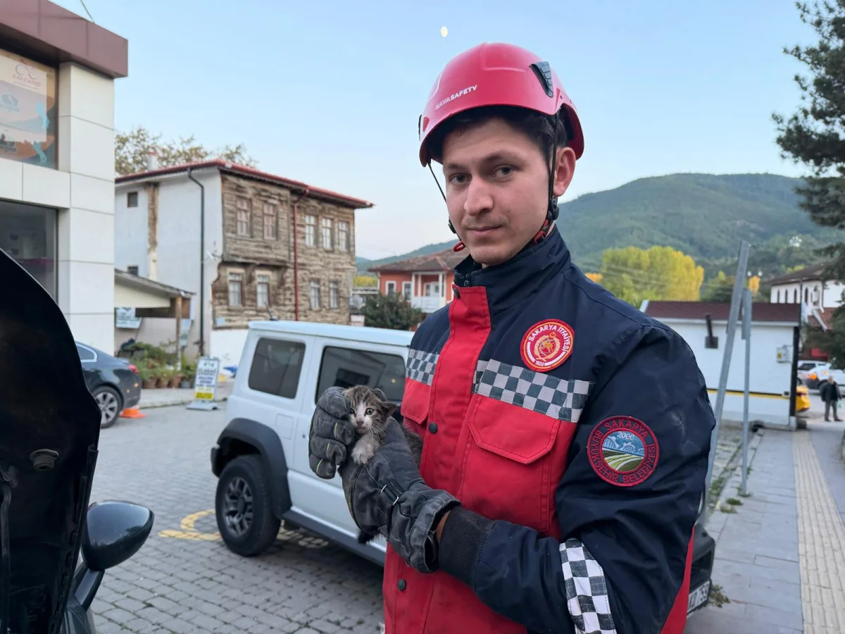 Sakarya'da Otomobil Motoruna Sıkışan Yavru Kedi Kurtarıldı