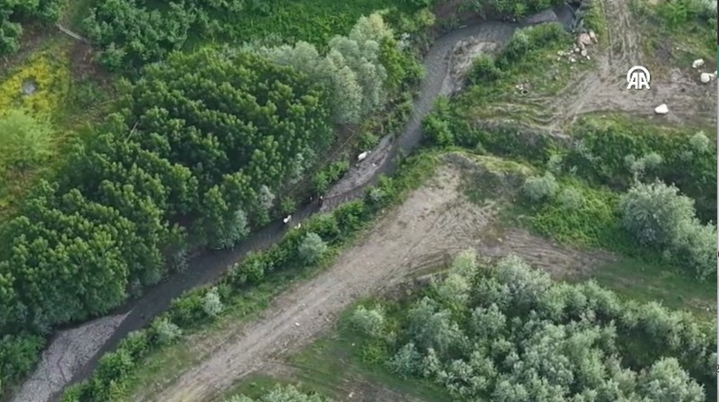 Sakarya'da kaybolan 7 büyükbaş hayvan dron yardımıyla bulundu