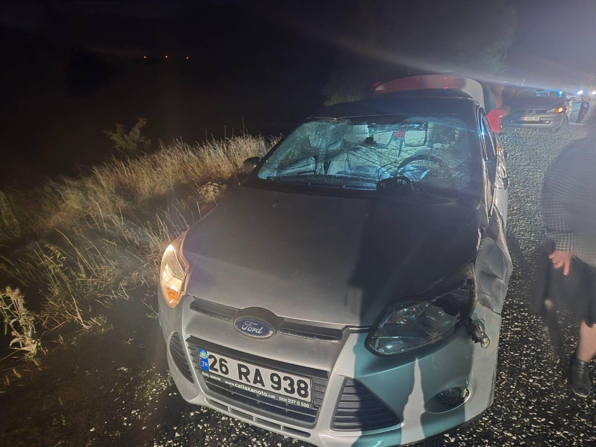 Bilecik'te otomobilin çarptığı geyik telef oldu