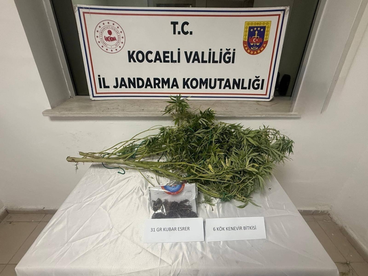 Kocaeli'de uyuşturucu operasyonunda 1 kilogram esrar ele geçirildi