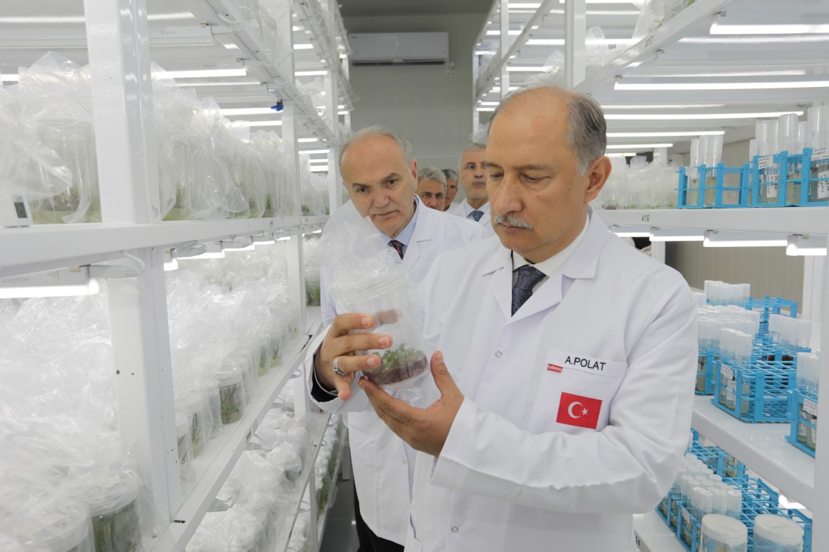 Abdülkadir Polat’tan Sapanca Doku Kültürü Laboratuvarı’na Tam Not