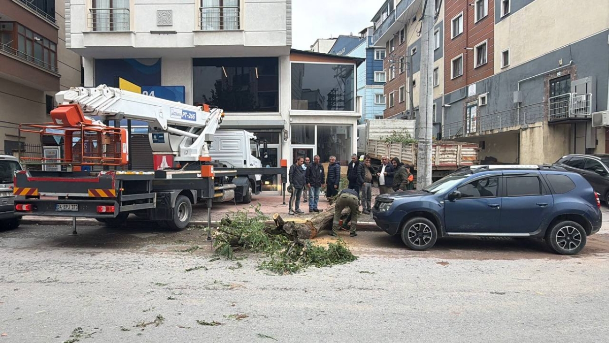 Kocaeli'de devrilen ağaç park halindeki cipe zarar verdi